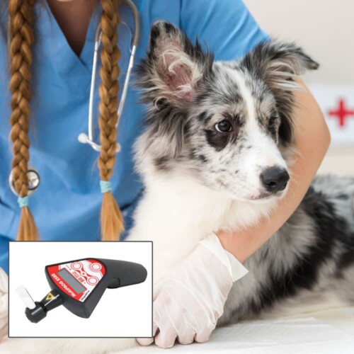 Impuls-Dioden-Therapielaser Multiprog MP 2520 Handylaser - Akupunktur und kleine Flächen