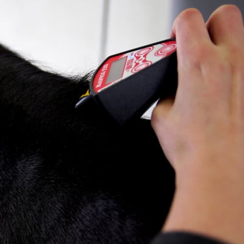 Impuls-Dioden-Therapielaser Multiprog MP 2520 Handylaser - Akupunktur und kleine Flächen