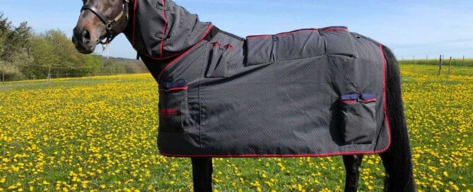 Magnetfeldtherapie Therapielaser