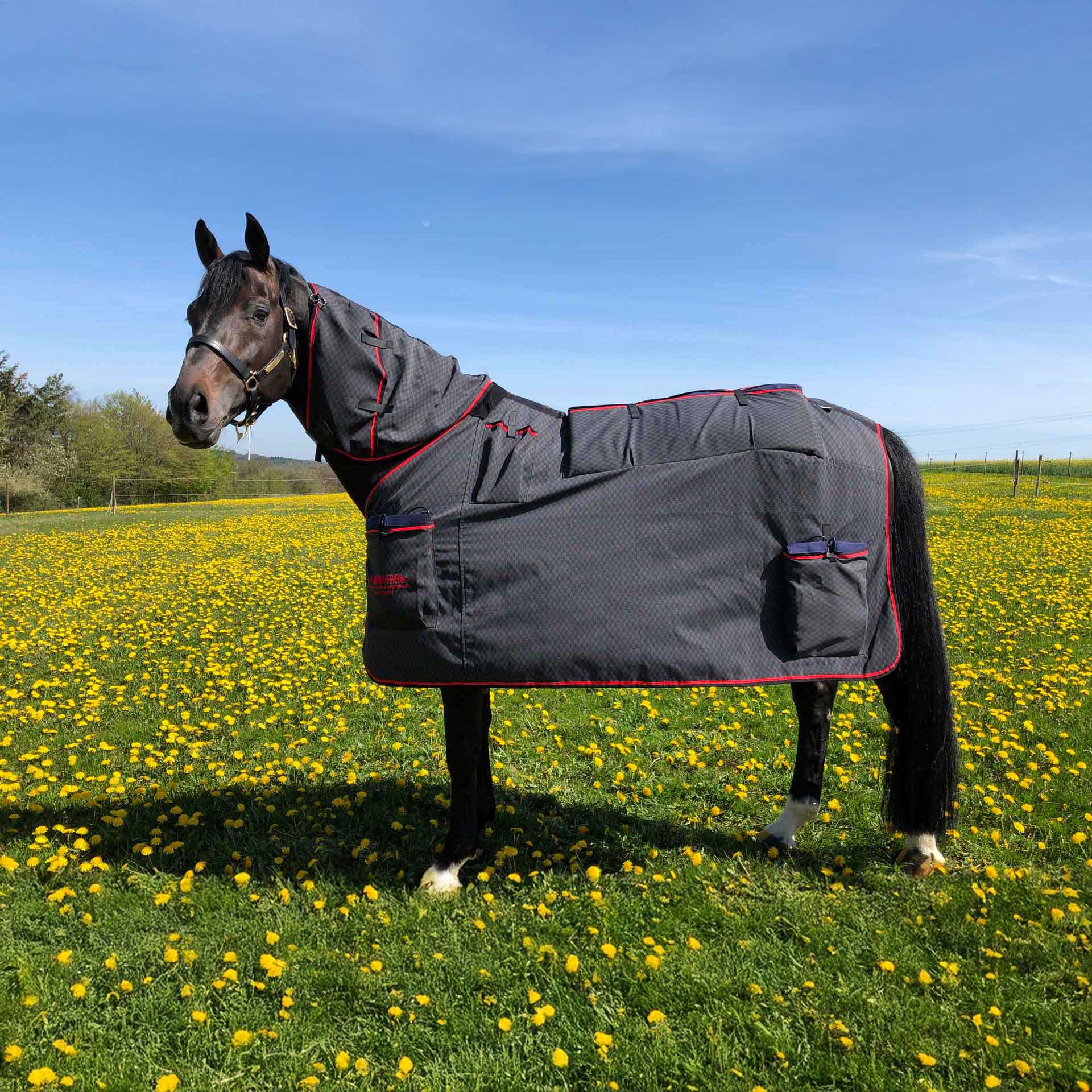 Magnetfeldtherapie Therapielaser