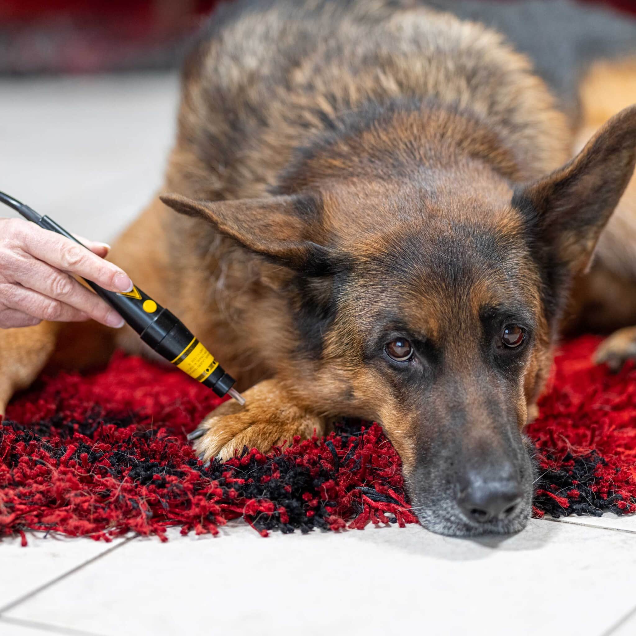 Lasertherapie zur Behandlung von Hot Spots
